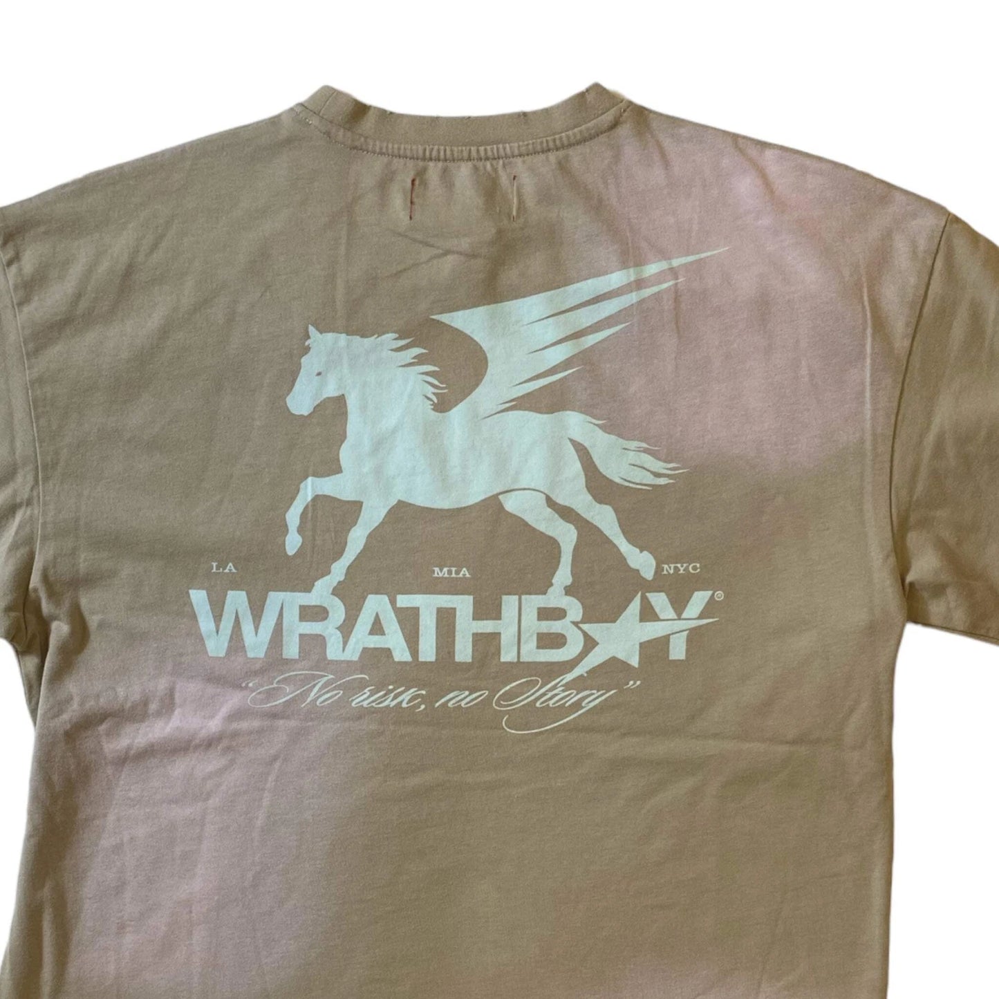 DAWORLD WRATHBOY No Risk No Story Vintage Crew Neck T-Shirt