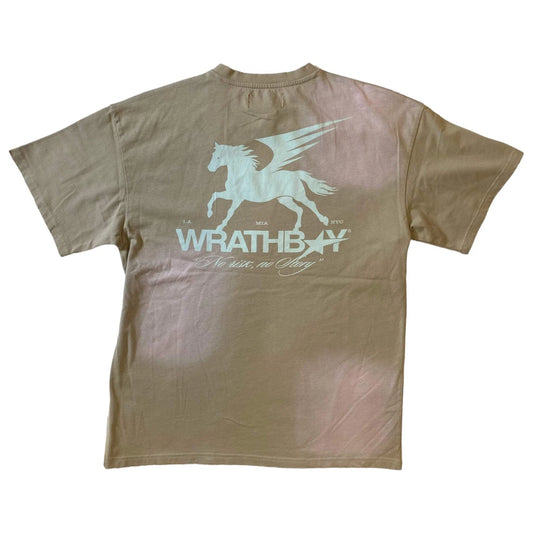 DAWORLD WRATHBOY No Risk No Story Vintage Crew Neck T-Shirt